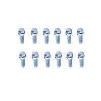 12 x 3/8" Exhaust Extractor Bolts